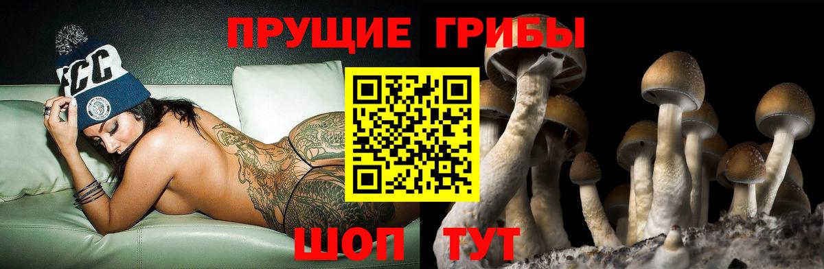 Псилоцибиновые грибы GOLDEN TEACHER  Вход с VPN  Златоуст 